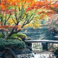自然色とその心理的影響：日本庭園や室内緑化との関連性