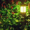 外構・庭園に使える省エネLED照明と周囲環境への配慮