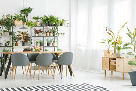 気候や光の変化に対応した日本の住宅に合う季節別カラーテクニック